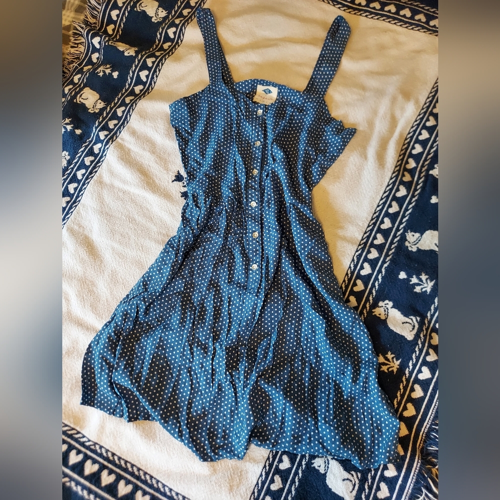 Polka Dot Blue Dress